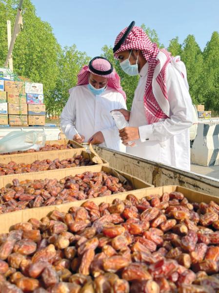 التأكد من سلامة المعروضات في «تربة»