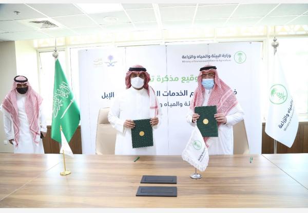 «الإبل» و«البيئة والزراعة» يحفزان الاستثمار
