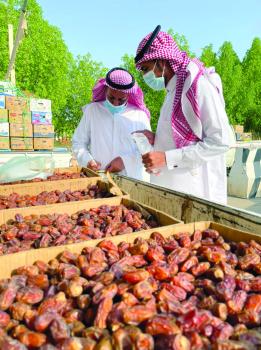 التأكد من سلامة المعروضات في «تربة»