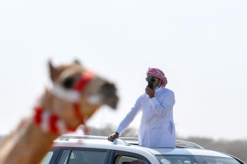 «التزام»..الأسرع في أشواط «الصباحية»
