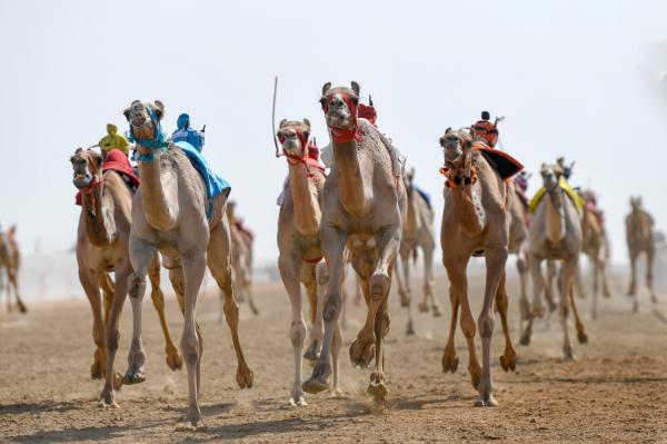 الرموز..سعودية في يومها الأول