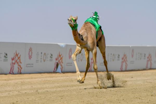 الرموز..سعودية في يومها الأول