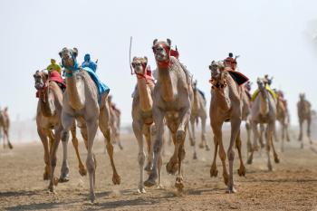 الرموز..سعودية في يومها الأول