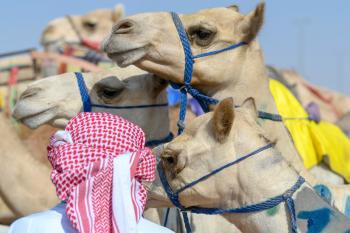 الرموز..سعودية في يومها الأول