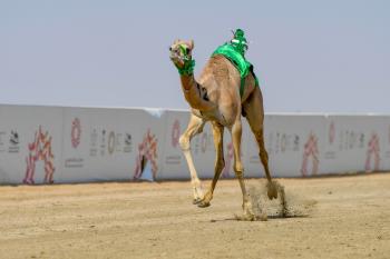 الرموز..سعودية في يومها الأول