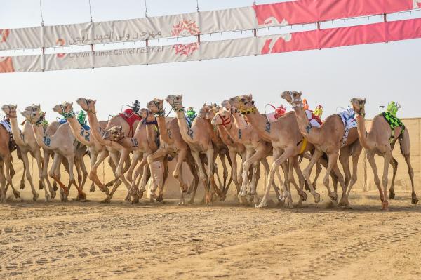 «بكار اللقايا»سيطرة وأفضل توقيت