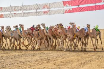 «بكار اللقايا»سيطرة وأفضل توقيت