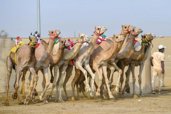 13 مليارا.. قيمة هجنالمرحلة النهائية