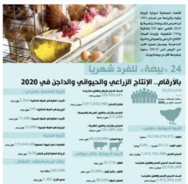 بالأرقام.. الإنتاج الزراعي و الحيواني والداجن في 2020