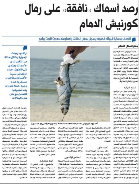 «البيئة» تحلل عينات من «الأسماك النافقة» على كورنيش القطيف