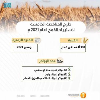 المؤسسة العامة للحبوب تطرح مناقصة لاستيراد 360 ألف طن قمح