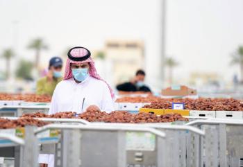 تمور المملكة.. 50 نوعا تحظى بثقة المتسوقين