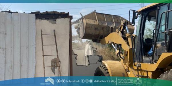 إزالة حظائر مُخالفة ومُصادرة 20 رأساً من الأغنام بمكة