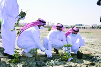 «البيئة»: تطوير زراعة «المانجروف».. ونفوق الأسماك ظاهرة طبيعية