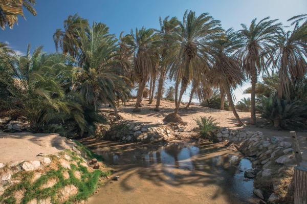 «وادي العيون».. ملتقى جمال الطبيعة وعبق التاريخ
