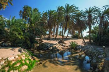 «وادي العيون».. ملتقى جمال الطبيعة وعبق التاريخ