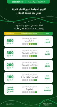 تعديل استراتيجية دعم الأندية لـ 5 فئات