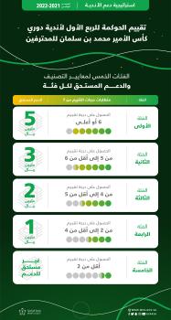 تعديل استراتيجية دعم الأندية لـ 5 فئات