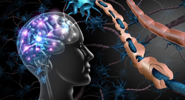 7 أطعمة تعزز صحة الدماغ