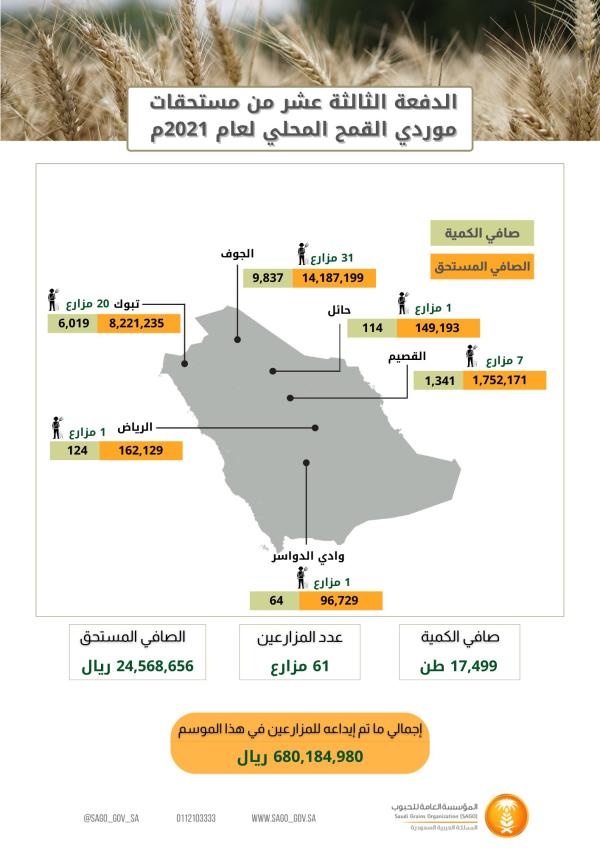 مؤسسة الحبوب تصرف مستحقات الدفعة الـ ١٣ لمزارعي القمح