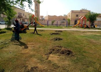 قص 40 ألف م2 مسطحات خضراء بحفر الباطن