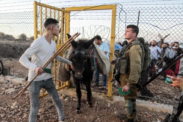 اعتقال 6 فلسطينيين جنوب نابلس