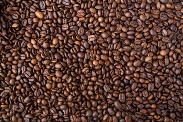 أوغندا.. ارتفاع إجمالي صادرات البلاد من البن بنسبة 21%