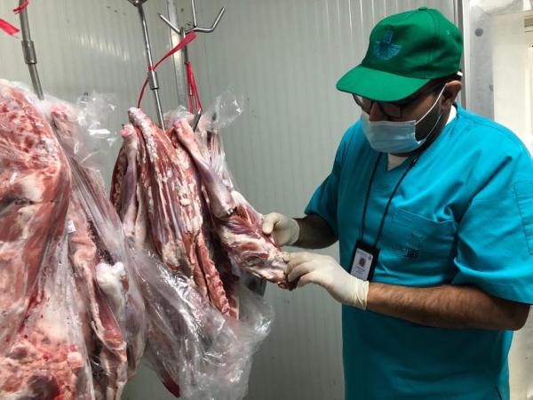 1300 جولة تضبط 79 مخالفة بالأسواق