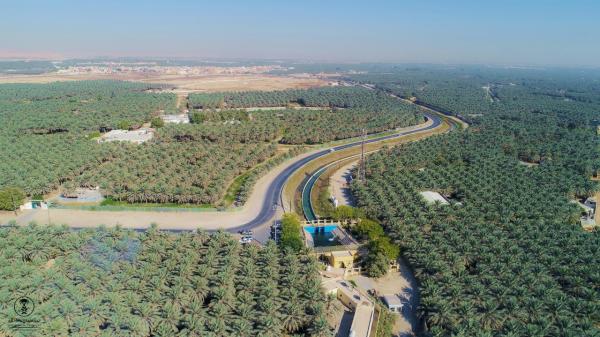 ولي العهد يطلق أولى حزم مبادرات «السعودية الخضراء»