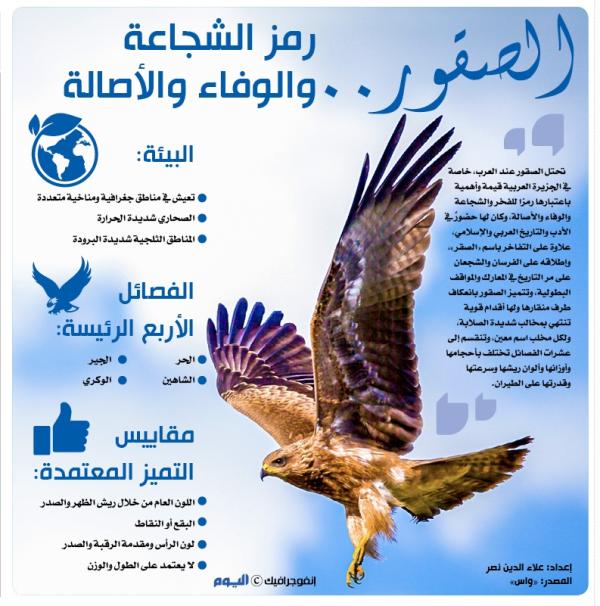 الصقور .. رمز الشجاعة والوفاء والأصالة
