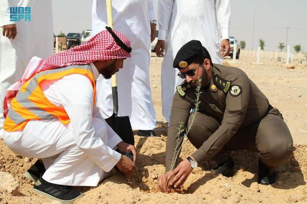 زرع 3 آلاف شجرة من النباتات المحلية جنوب رفحاء