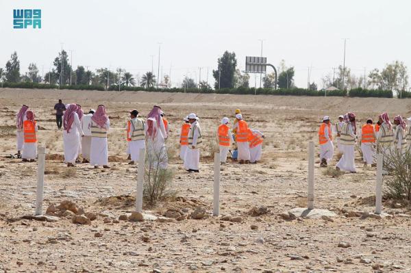 زرع 3 آلاف شجرة من النباتات المحلية جنوب رفحاء