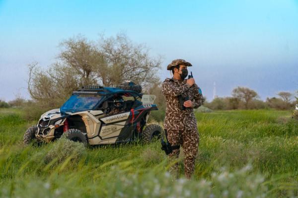 غرامة 20 ألف لـ 3 أشخاص قاموا بقطع شجرة بمنشار كهربائي
