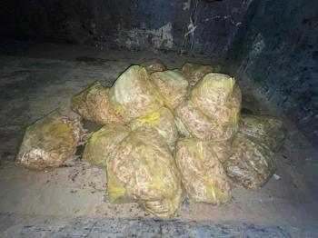 مصادرة 160 كيلو من الربيان الفاسد في الأحساء