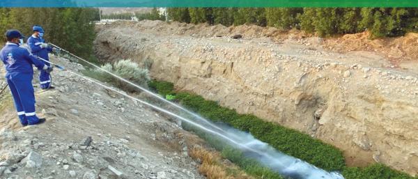 مكافحة 12 ألف بؤرة لآفات الصحة العامة