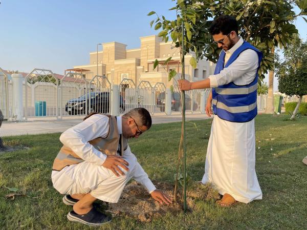 زراعة 100 شجرة في 3 حدائق بالخبر