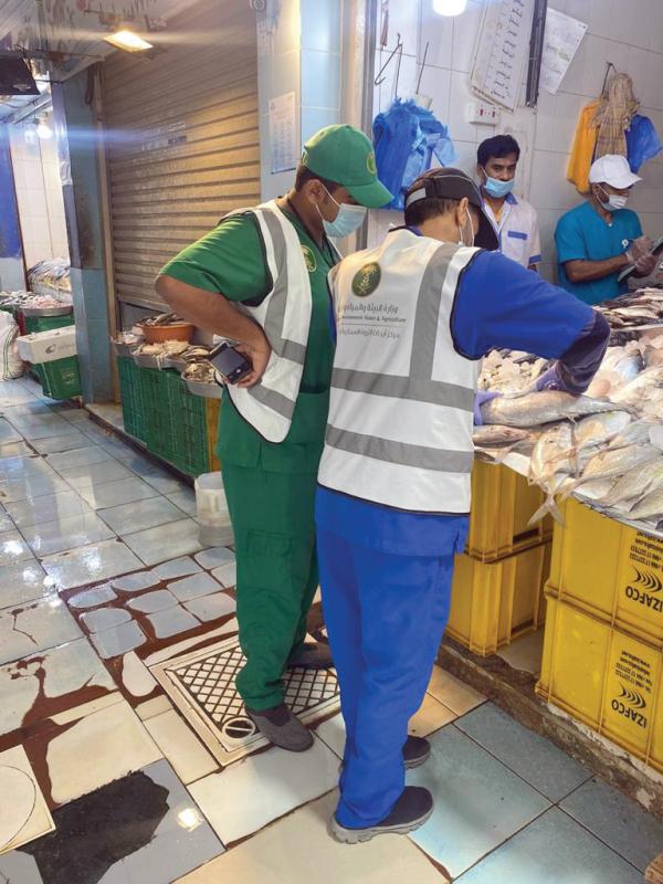 90 % من الأسماك «الفاسدة» مستوردة