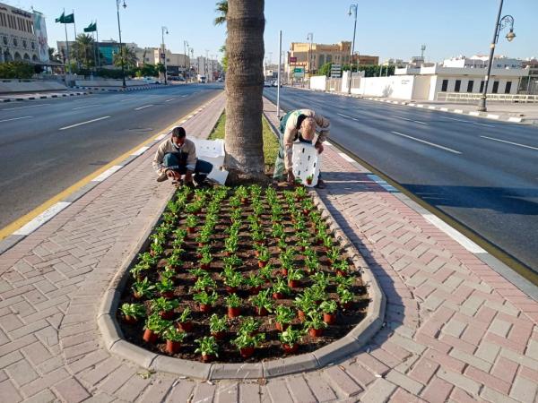 18 ألف زهرة تزين شوارع الدمام
