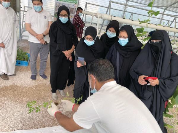 20 متدربة على «الزراعة المنزلية» بالشرقية
