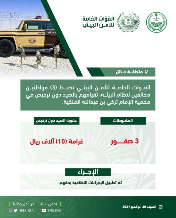 ضبط 3 مواطنين اصطادوا صقورًا في محمية الإمام تركي
