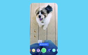 تقنية للبحث عن شبيه حيوانك في الأعمال الفنية