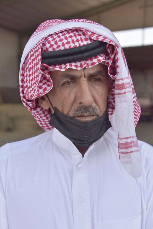 97 % ارتفاعا في أسعار الأعلاف بالشرقية