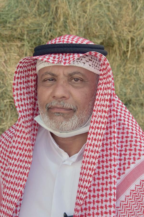 97 % ارتفاعا في أسعار الأعلاف بالشرقية