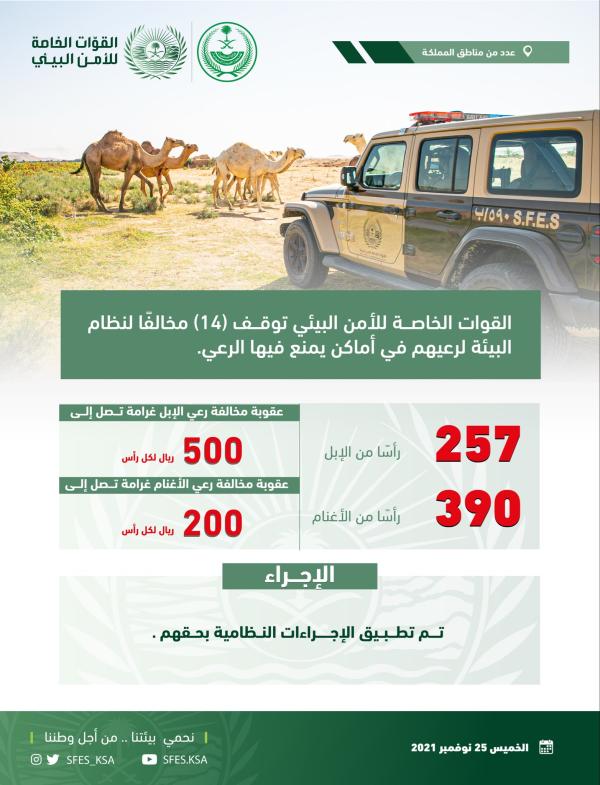 ضبط 14 مخالفًا لنظام البيئة لارتكابهم مخالفات رعي