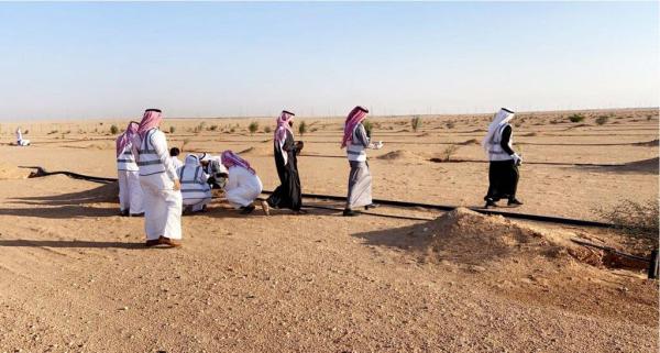 موسم جديد لنثر البذور وغرس الشتلات