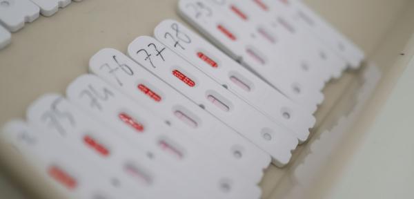 «أوميكرون» يصل إلى أوروبا.. 4 دول تعلن عن تسجيل إصابات