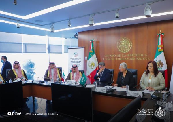 وزير الخارجية يستعرض العلاقات مع رئيسة 'الشيوخ المكسيكي'