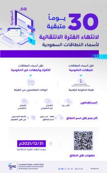 30 يوماً لانتهاء الفترة الانتقالية لأسماء النطاقات السعودية