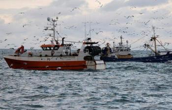 بريطانيا تصدر 23 ترخيص صيد للصيادين الفرنسيين