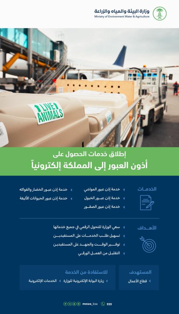 خدمات إلكترونية للحصول على أذونات العبور إلى المملكة